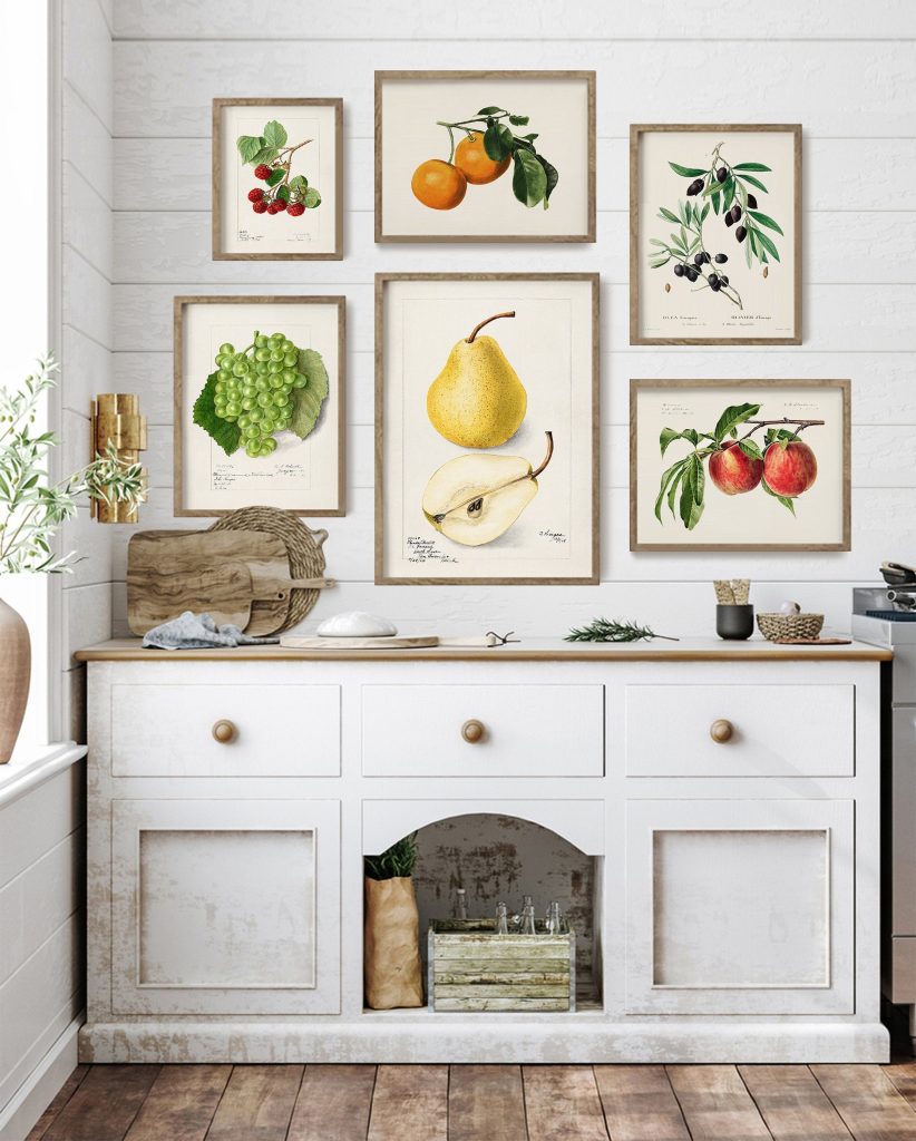 Kitchen Gallery Wall Art Set Of 6, Vintage Fruit Prints, Farmhouse throughout Vintage Kitchen Wall Art